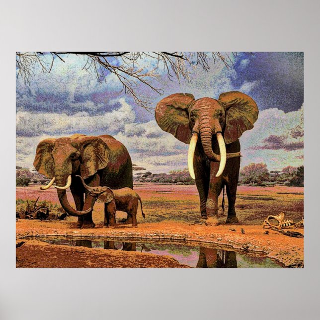 Wildlife 2 poster (Front)