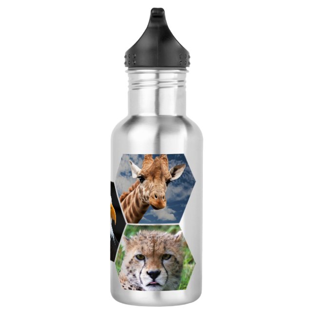 Wildlife 710 Ml Water Bottle (Right)