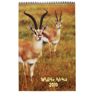 Wildlife Africa calendar 2010 - African safari