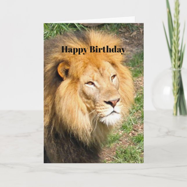 Wildlife African Lion Face Photo Birthday Card (Front)