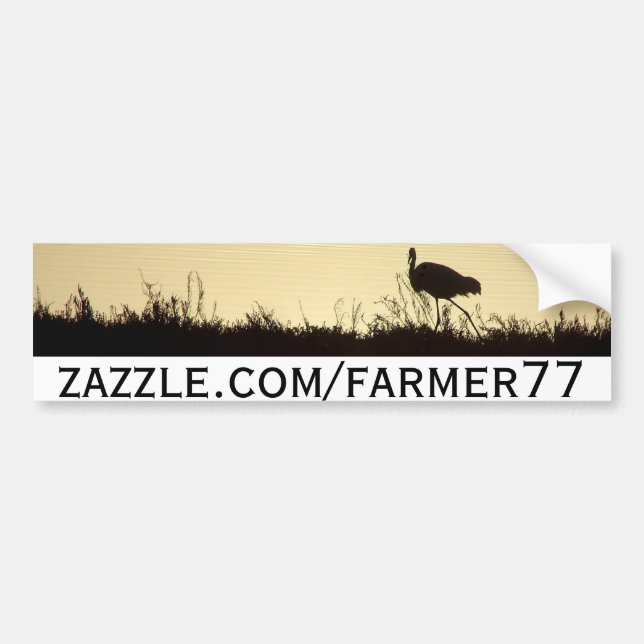 Wildlife Artwork Bumpersticker Bumper Sticker (Front)