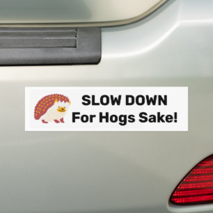 Wildlife awareness hedgehog Bumper Sticker