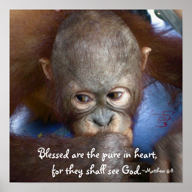 Wildlife Baby : Blessed are the pure in heart Poster (Front)