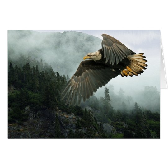 WILDLIFE Bald Eagle & Misty Forest Greeting Cards