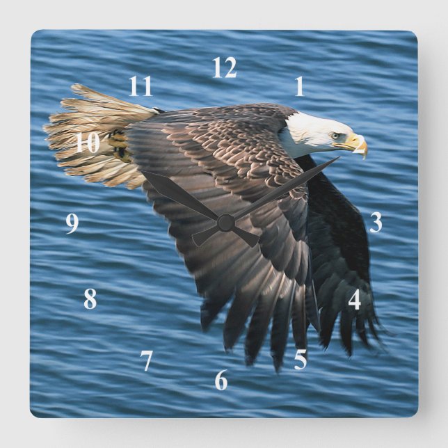 Wildlife Bald Eagle Photo Square Wall Clock (Front)