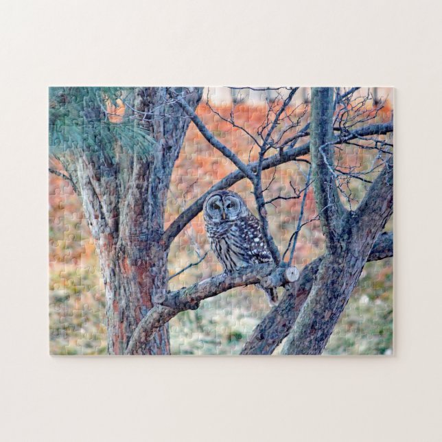Wildlife Barred Owl Tree Photo Jigsaw Puzzle (Horizontal)