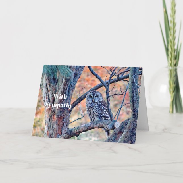 Wildlife Barred Owl Tree Photo Sympathy Card (Front)