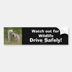 Wildlife Bears Animal-lovers Design Bumper Sticker