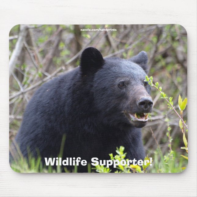 Wildlife Bears Animal-lovers Design Mouse Mat (Front)