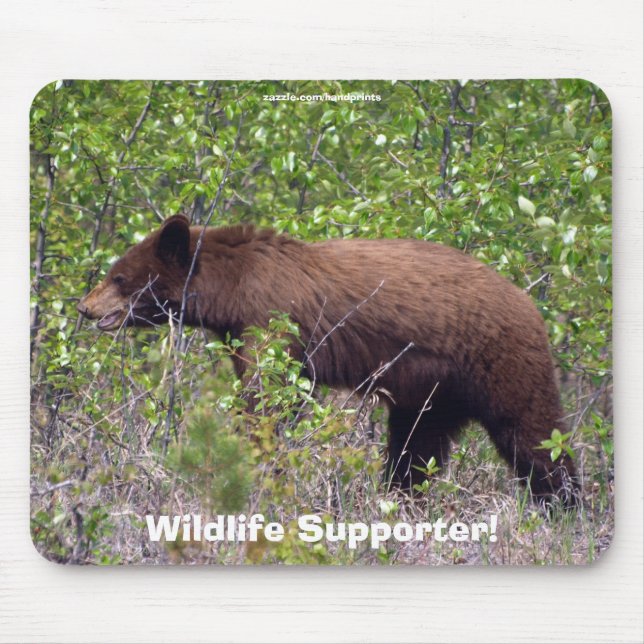 Wildlife Bears Animal-lovers Design Mouse Mat (Front)