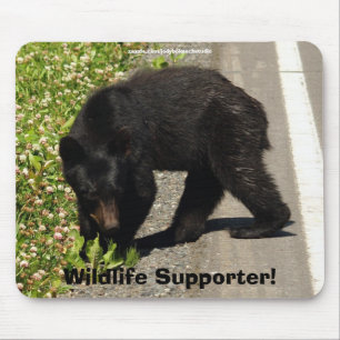 Wildlife Bears Animal-lovers Design Mouse Mat