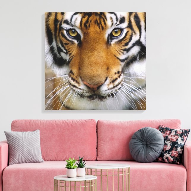 Wildlife Beautiful Tiger Piercing Brown Eyes Canvas Print (Insitu(LivingRoom))