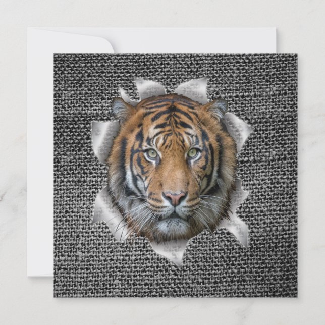 Wildlife Bengal Tiger (Front)