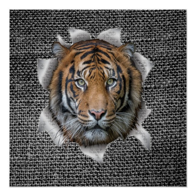 Wildlife Bengal Tiger dressed up joke Poster (Front)