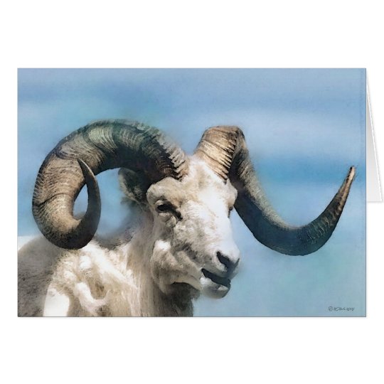 Wildlife-Big Horn Card