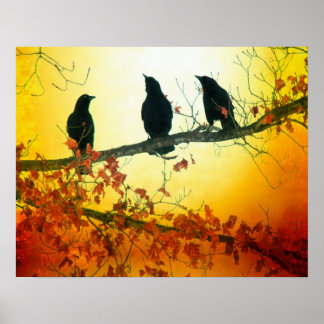 Wildlife Birds Poster
