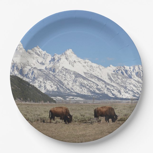 Wildlife Bison Mountains Snow Photo Paper Plate (Front)