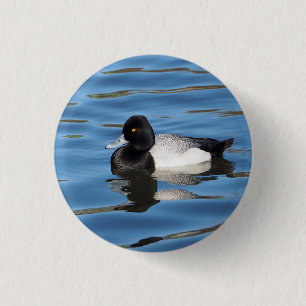 Wildlife Black and White Duck Scaup Photo 3 Cm Round Badge