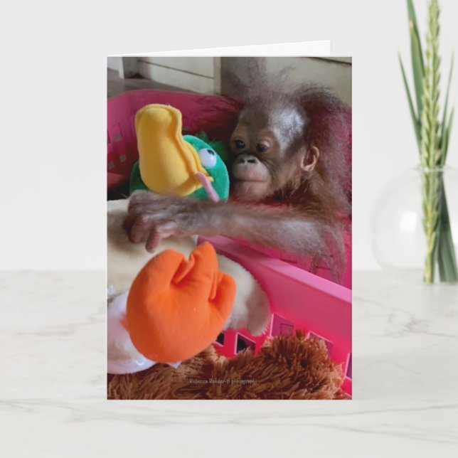 Wildlife Blank Cards:Baby Orangutan Grabs Toys  Card (Front)