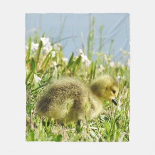 Wildlife blanket, fleece, gosling, Canada Goose Fleece Blanket