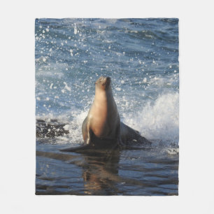 Wildlife blanket, marine life, California sea lion Fleece Blanket