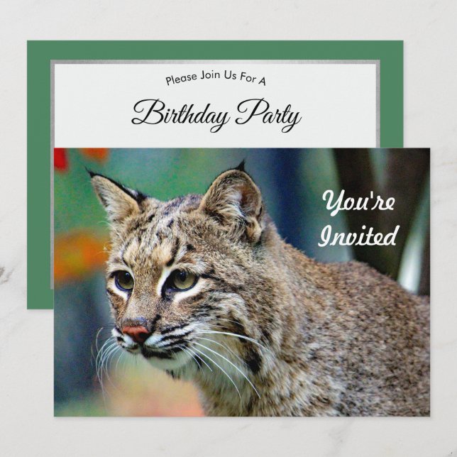 Wildlife Bobcat Photo Birthday Invitation (Front/Back)