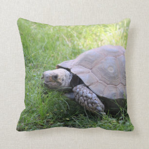Wildlife Brown Tortoise Photo Cushion