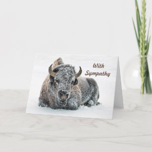 Wildlife Buffalo Snow Photo Sympathy Card
