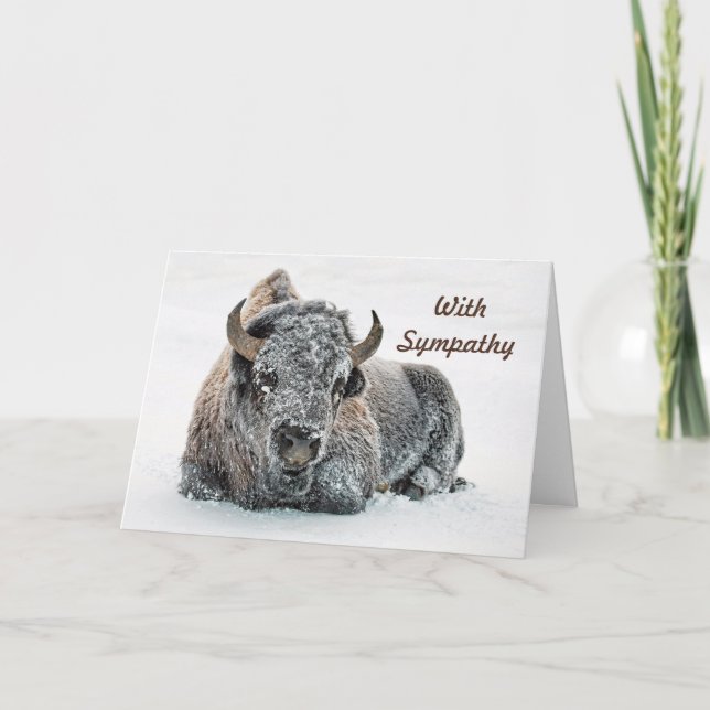 Wildlife Buffalo Snow Photo Sympathy Card (Front)