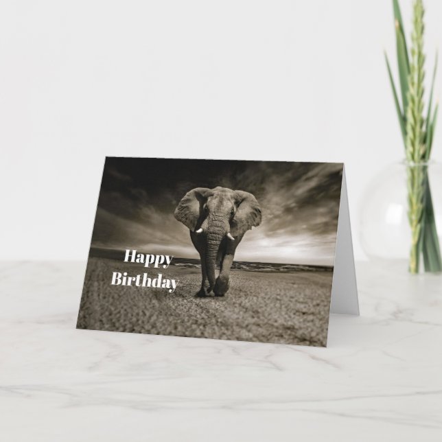 Wildlife Bull Elephant Photo Birthday Card (Front)