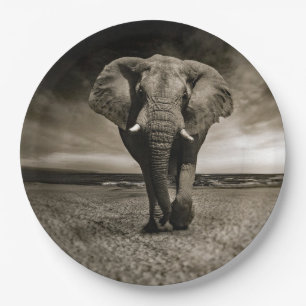 Wildlife Bull Elephant Photo Paper Plate