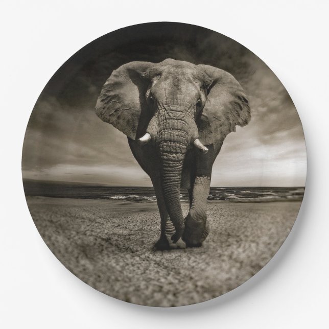 Wildlife Bull Elephant Photo Paper Plate (Front)