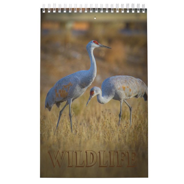 Wildlife Calendar (Cover)