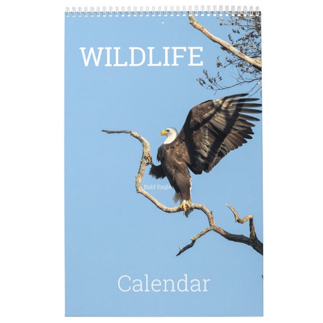 Wildlife Calendar (Cover)