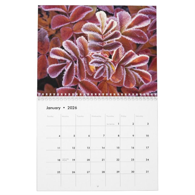 Wildlife Calendar (Jan 2026)