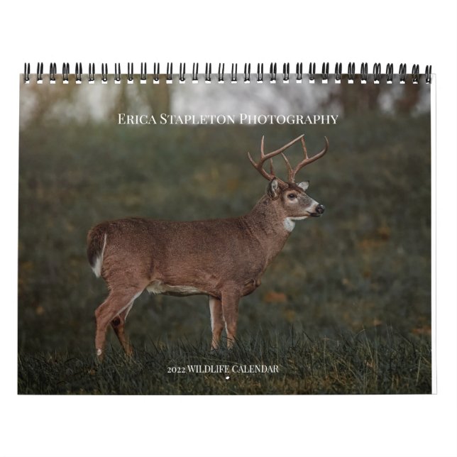 Wildlife Calendar (Cover)
