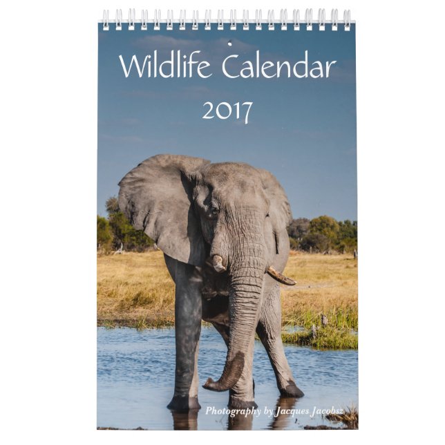 Wildlife Calendar 2021 (Cover)
