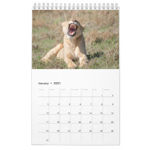 Wildlife Calendar 2021
