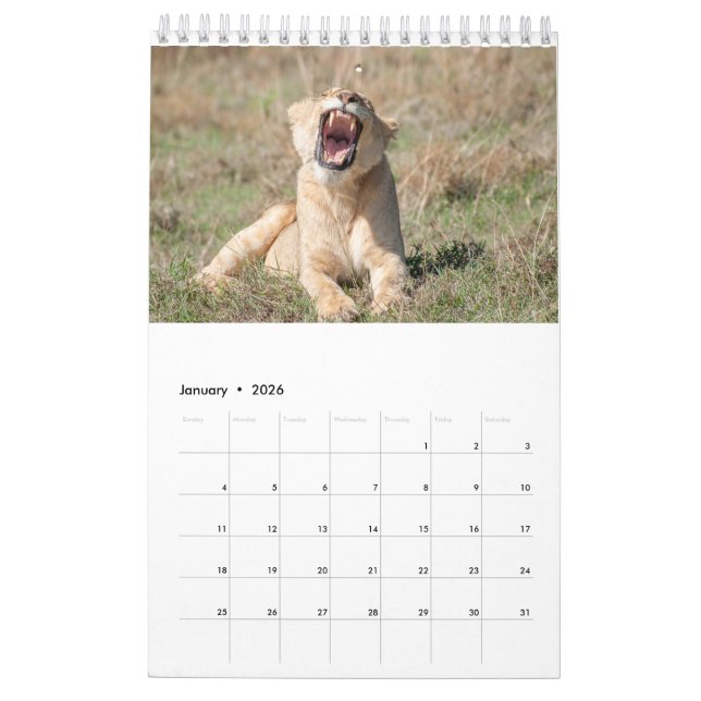 Wildlife Calendar 2021 (Jan 2026)