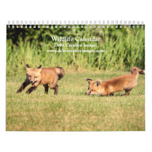 Wildlife Calendar 2025