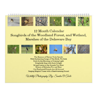 Wildlife Calendar, Songbirds, Wild Birds  Calendar