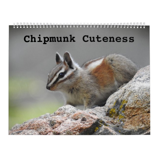 Wildlife calendar, wild animals, Chipmunk Cuteness Calendar (Cover)
