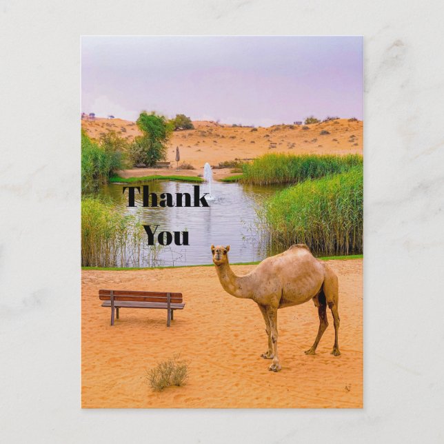 Wildlife Camel Oasis Photo Thank You Postcard (Front)