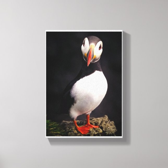 Wildlife Canvas Print (Front)