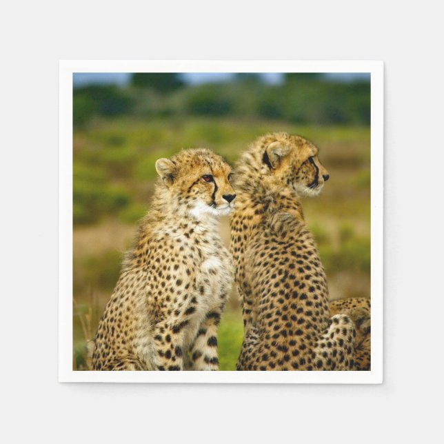 Wildlife Cheetah Photo Napkin (Front)