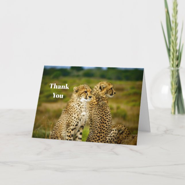 Wildlife Cheetah Photo Thank You Card (Front)