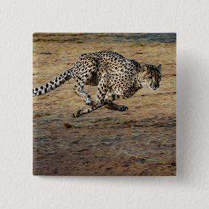 Wildlife Cheetah Running Photo 15 Cm Square Badge