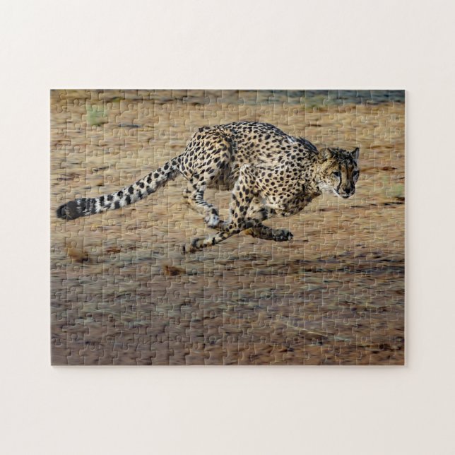 Wildlife Cheetah Running Photo Jigsaw Puzzle (Horizontal)