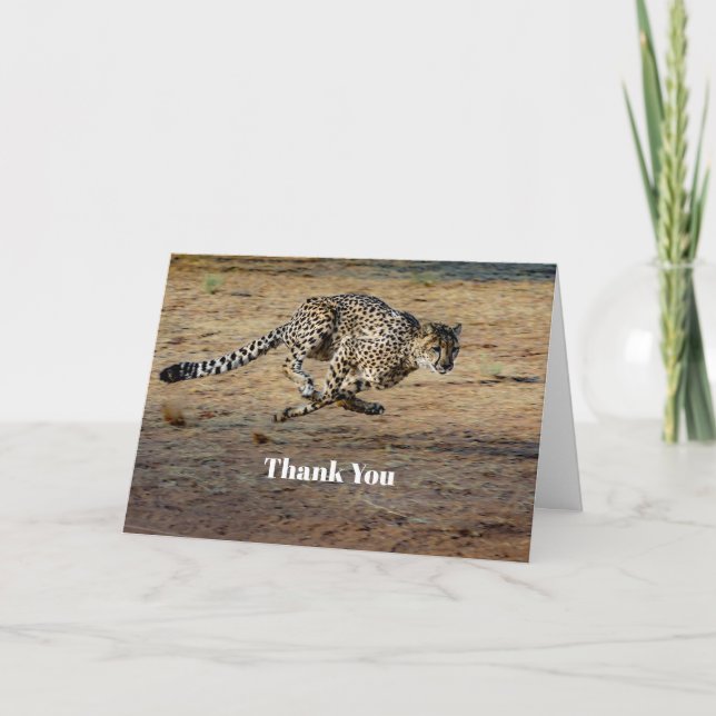 Wildlife Cheetah Running Photo Thank You Card (Front)