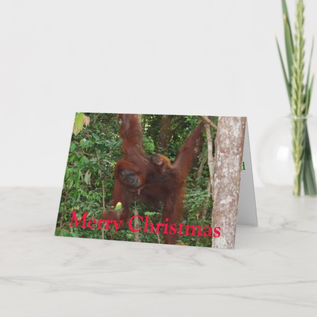 Wildlife Christmas Holiday Card (Front)
